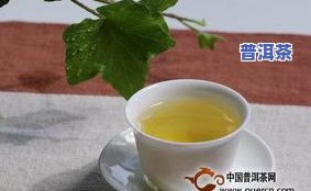 怎样在抖音上提升普洱茶销售额？分享有效策略与技巧