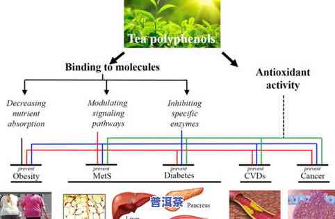 大益普洱茶散茶等级-大益普洱茶分几级