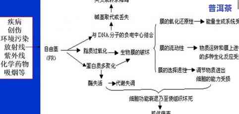 全面解析：老班章对身体的好处、坏处及具体表现