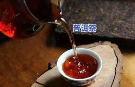 茶叶白牡丹是什么茶种？了解其品种、特点与图片