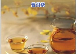 年份老的普洱茶：便宜还是贵？比较分析告诉你！