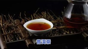 小青柑普洱茶属于哪种茶？探讨其种类归属