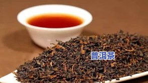 怀孕可以喝大麦普洱茶吗？有何作用？女性需要留意什么？