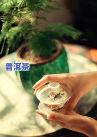 普洱茶储存有什么讲究吗-普洱茶储存有什么讲究吗视频