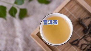 普洱茶叶芽头图片大全高清：展示最新鲜、更优质的普洱茶叶芽头照片