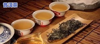 普洱茶公认大师是谁？探讨