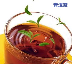 普洱茶7692质量怎么样？全面解析这款茶叶的特点与口感