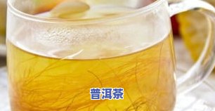 普洱茶8668是什么意思，解密普洱茶8668的含义