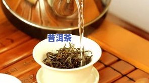 普洱茶五帝套装图片大：高清图赏与详细讲解视频