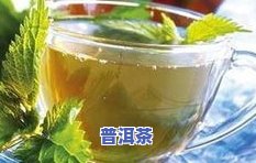 普洱茶饼生茶2013年的-13年的生普洱茶饼价格