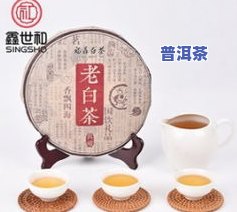 厦门特色普洱茶有哪些-厦门特色普洱茶有哪些好