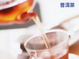 最新普洱茶7543、7541、7542价格全览