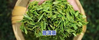 茉莉红螺是什么茶叶-茉莉红螺是什么茶叶做的