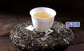 赵军普洱茶-赵晖普洱茶