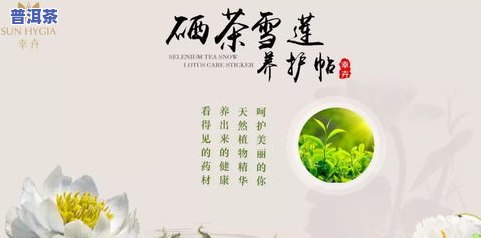 什么人适合喝普洱茶：依据体质、功效和熟生茶选择