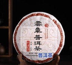 什么人适合喝普洱茶：依据体质、功效和熟生茶选择