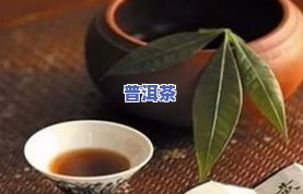 藏香茶叶属于什么茶-藏香茶叶属于什么茶类