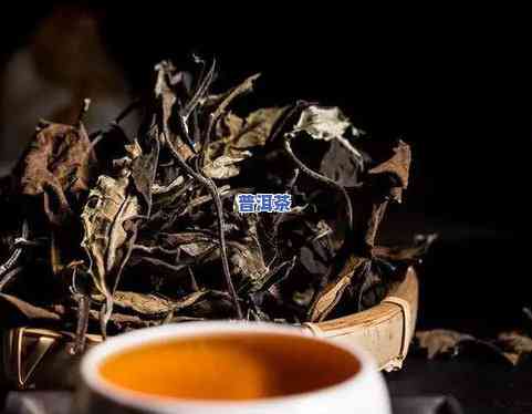 熟普洱属于黑茶还是红茶，熟普洱：黑茶还是红茶？探讨其分类归属