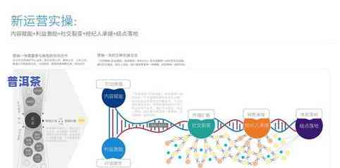 普洱茶膏怎么喝法：简单易懂的冲泡指南与口感提升技巧