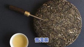 冰岛茶树王多少钱，揭秘冰岛茶树王的市场价格！