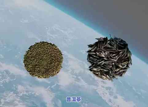 怎样挑选老班章送人呢，老班章普洱茶选购指南：怎样挑选老班章送人？