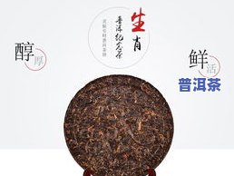 熟普洱哪家的比较好-熟普洱谁家好