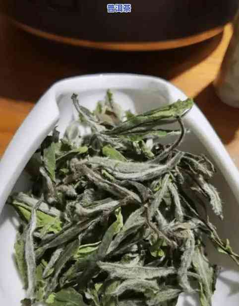 哪个片区的普洱茶饱满度高-普洱茶哪个茶区的茶更好