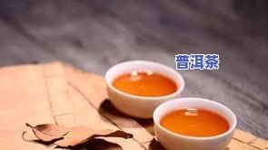 普洱宫廷茶厂地址及评价全揭秘：在哪里可以找到？