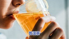 老班章专卖店，探索顶级普洱茶：老班章专卖店的奥秘与魅力