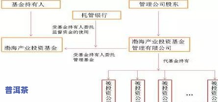 茶叶金骏眉价格表和图片-茶叶金骏眉价格表和图片大全