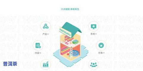 陈皮与普洱茶价格对比高清图大全