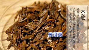 小青柑要煮着喝吗小青柑普洱茶可以煮吗，探讨小青柑的正确饮用方法：是不是需要煮着喝？