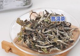 普洱茶饼底有黑点正常吗为什么，普洱茶饼底的黑点：正常现象还是品质疑问？