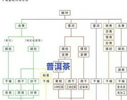 普洱茶饼喝法视频教程：从基础到进阶，一网打尽！