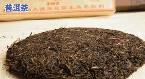 普洱茶饼喝法视频教程：从基础到进阶，一网打尽！