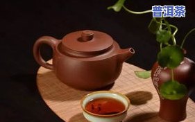 更好的普洱茶发源地是哪里-更好的普洱茶发源地是哪里的