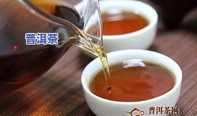 北京买普洱茶哪里好？详细购物指南