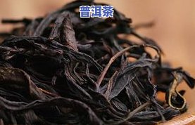 古树普洱茶在哪里卖好呢-古树普洱茶在哪里卖好呢