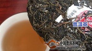 湛江古树普洱茶批发地址-湛江古树普洱茶批发地址在哪里