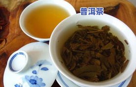 湛江古树普洱茶批发地址-湛江古树普洱茶批发地址在哪里