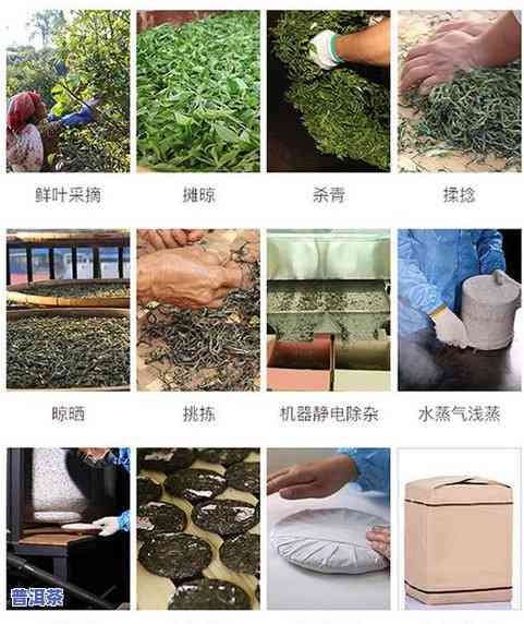 2022昔归普洱茶价位-昔归普洱茶价格2020