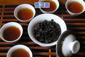 广州古树普洱茶哪家好喝-广州古树普洱茶哪家好喝一点