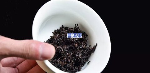 古树纯料普洱茶价：探究其市场价值与消费者认知