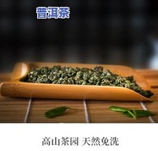 古树普洱茶怎么好喝点呢-古树普洱茶怎么好喝点呢图片