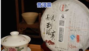 大树普洱茶：各大一览