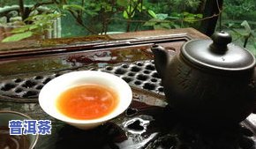 高端精制普洱茶有哪些产品-高端精制普洱茶有哪些产品名称