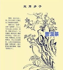 西安老班章加盟条件怎么样，揭秘西安老班章加盟条件，详细解析让你明明白白