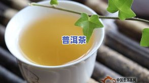 绿茶减脂还是普洱茶减脂好-绿茶减脂还是普洱茶减脂好呢