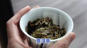 近几年普洱茶特点分析表-近几年普洱茶特点分析表格