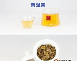 2009年老班章茶饼：价格对比与新品介绍